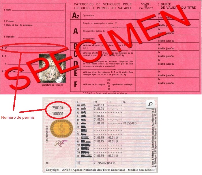 Sur les nouveaux permis de conduire, ce numéro se trouve au version de la carte et se trouve sur deux lignes